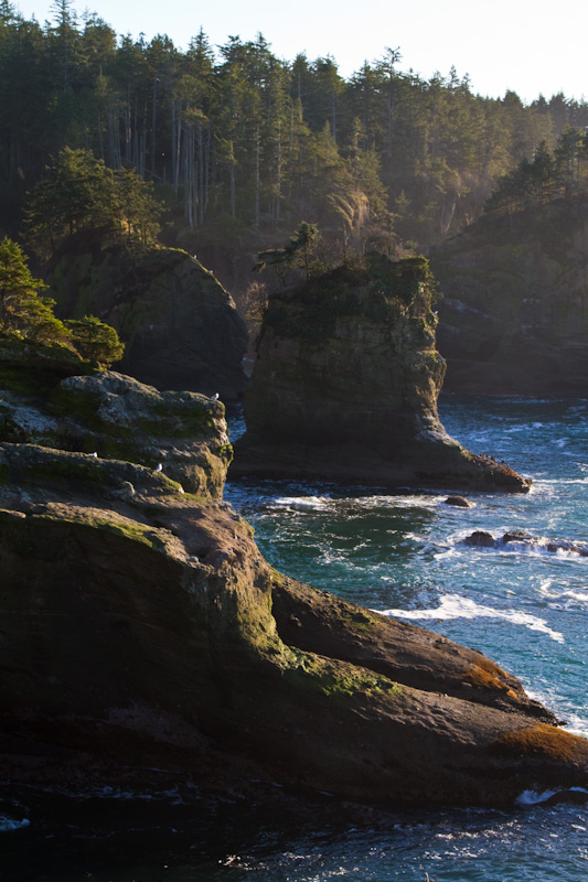 Cape Flattery